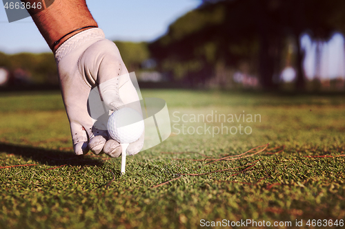 Image of close up of golf players hand placing ball on tee