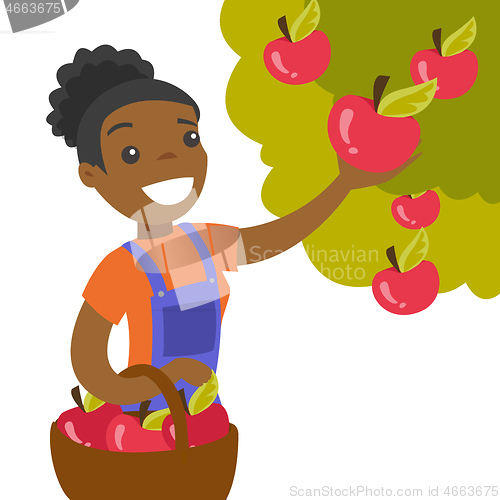 Image of A black woman collects apples from an apple tree in a garden.