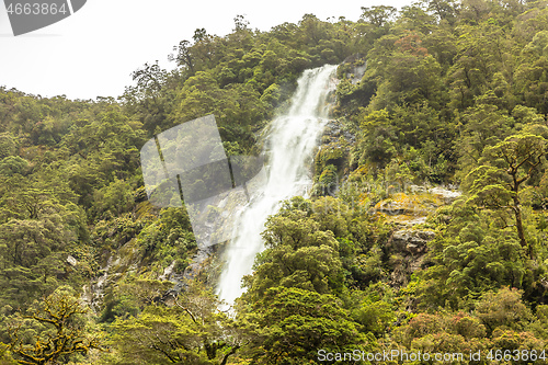 Image of Fiordland National Park New Zealand