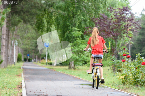 Image of Girl in a red T-shirt rides on a bike path in the park