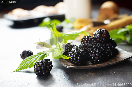 Image of blackberry