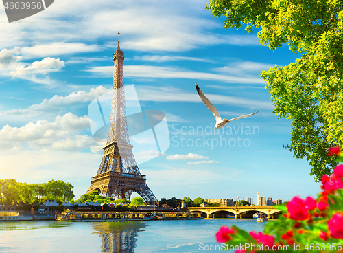 Image of Seine in Paris with Eiffel Tower