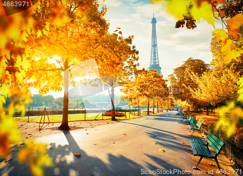 Image of Eiffel Tower in autumn