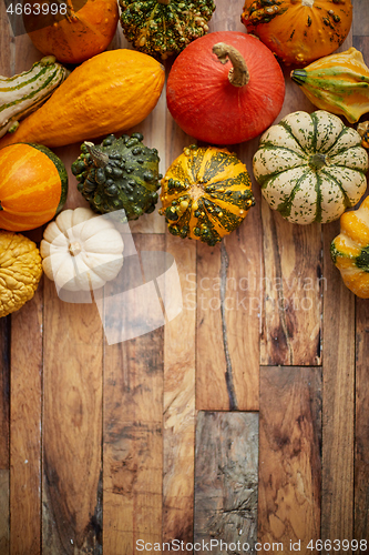 Image of Autumn background. Small multi colored pumpkins on a wooden table. Top view, with copy space