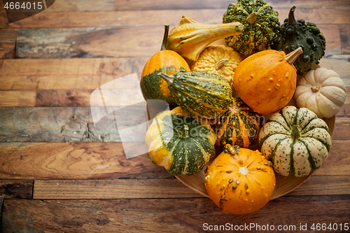 Image of Decoration made from small pumpkins. Colored pumpkins in different varieties.