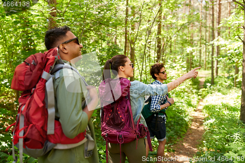 Image of group of friends with backpacks hiking in forest