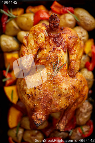 Image of Delicious whole chicken cooked with pumpkin, pepper and potatoes. Served in metal baking pan.