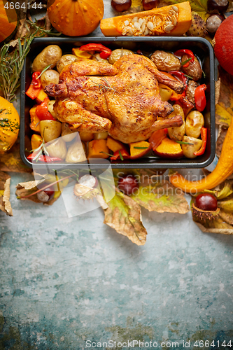 Image of Roasted whole chicken or turkey with pumpkins, pepper and potatoes. With colorful mini pumpkins