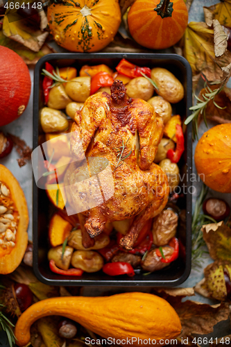 Image of Roasted whole chicken or turkey with pumpkins, pepper and potatoes. With colorful mini pumpkins