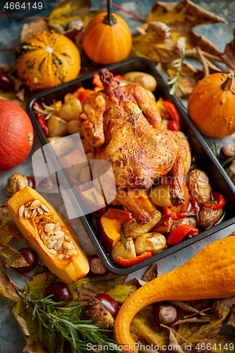 Image of Roasted whole chicken or turkey with pumpkins, pepper and potatoes. With colorful mini pumpkins