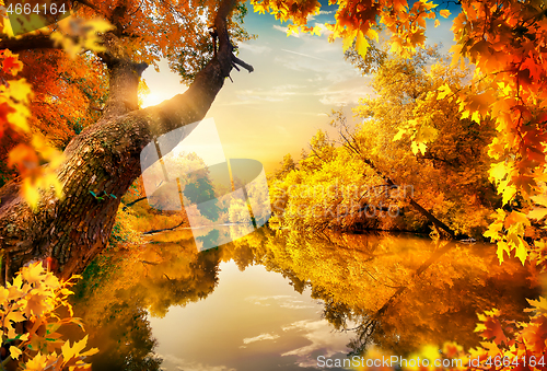 Image of Orange autumn on pond