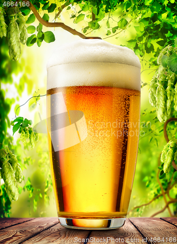 Image of Glass of light beer