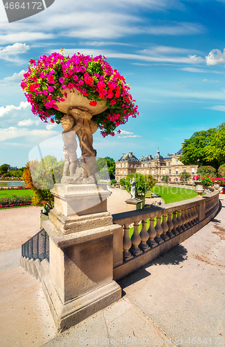 Image of Flowers in the park