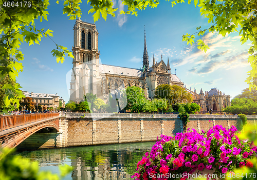 Image of Notre Dame on Seine