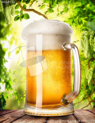 Image of Mug of light beer