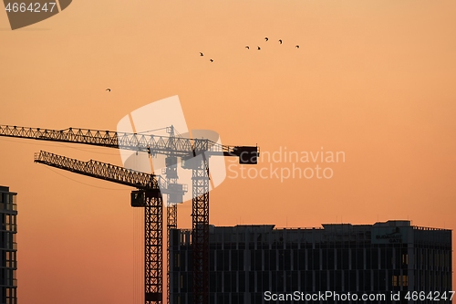 Image of Tall Construction Cranes