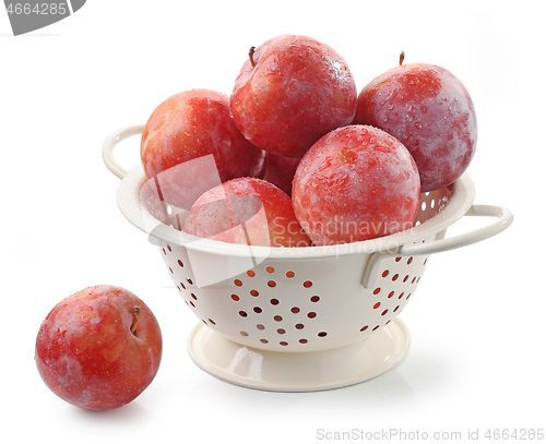 Image of ripe red wet plums in colander