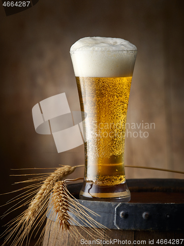 Image of glass of beer