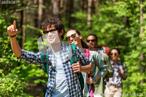 Image of group of friends with backpacks hiking in forest