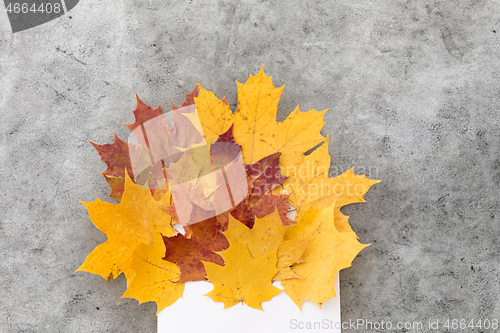 Image of autumn maple leaves with envelope on grey stone