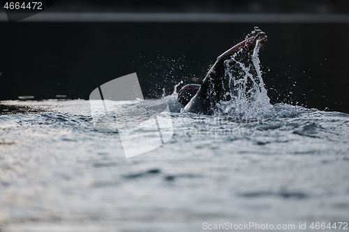 Image of triathlon athlete swimming on lake in sunrise wearing wetsuit