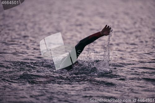 Image of triathlon athlete swimming on lake in sunrise wearing wetsuit