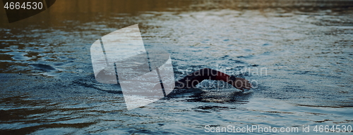 Image of triathlon athlete swimming on lake in sunrise wearing wetsuit