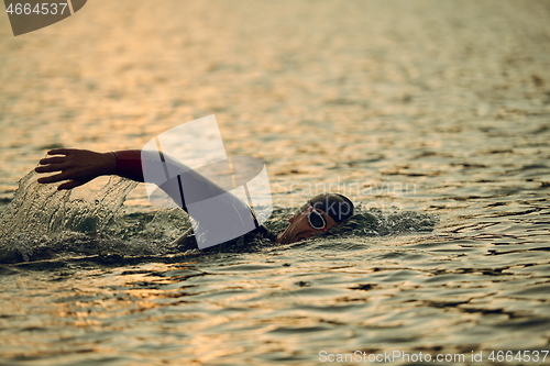 Image of triathlon athlete swimming on lake in sunrise wearing wetsuit