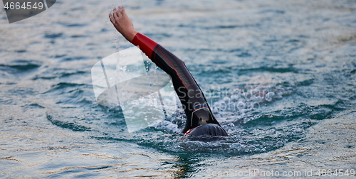 Image of triathlon athlete swimming on lake in sunrise wearing wetsuit