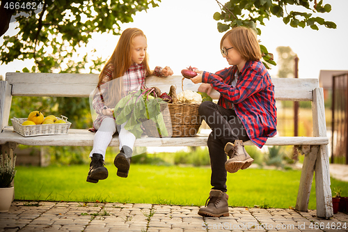 Image of Happy brother and sister with bucket of seasonal food in a garden outdoors together