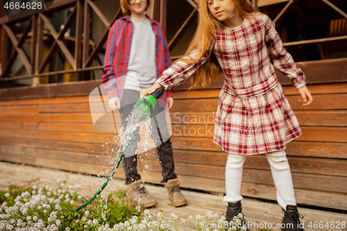 Image of Happy brother and sister watering plants in a garden outdoors together