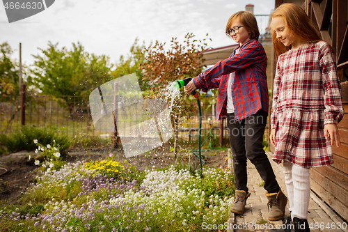 Image of Happy brother and sister watering plants in a garden outdoors together