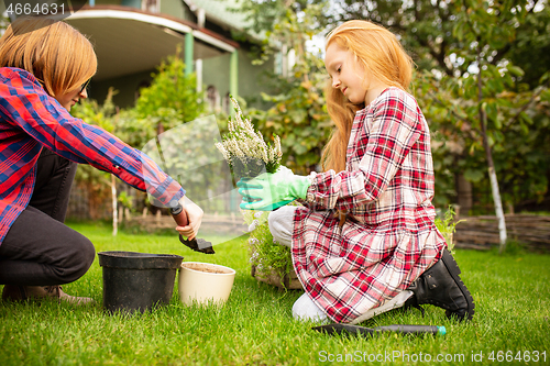 Image of Happy brother and sister planting in a garden outdoors together