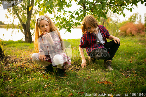 Image of Happy brother and sister planting in a garden outdoors together