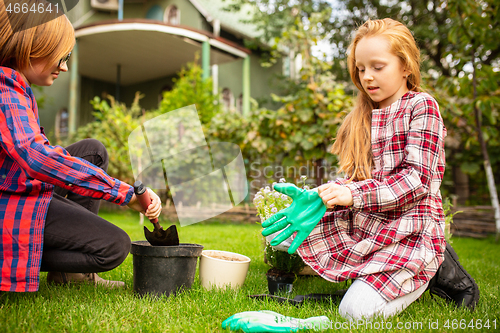 Image of Happy brother and sister planting in a garden outdoors together