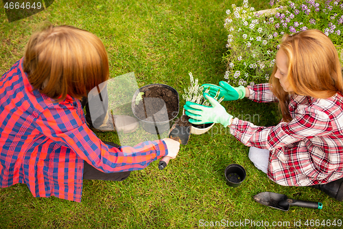 Image of Happy brother and sister planting in a garden outdoors together