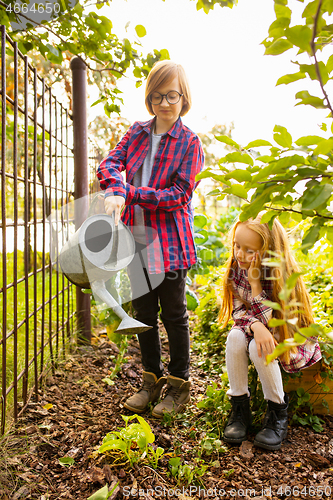 Image of Happy brother and sister watering plants in a garden outdoors together