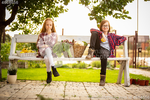 Image of Happy brother and sister with bucket of seasonal food in a garden outdoors together