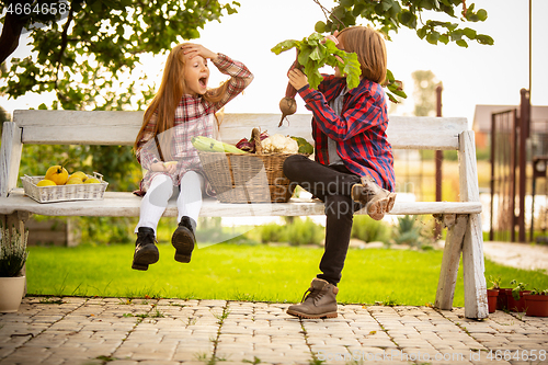 Image of Happy brother and sister with bucket of seasonal food in a garden outdoors together