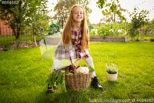 Image of Happy little girl with bucket of seasonal food in a garden outdoors