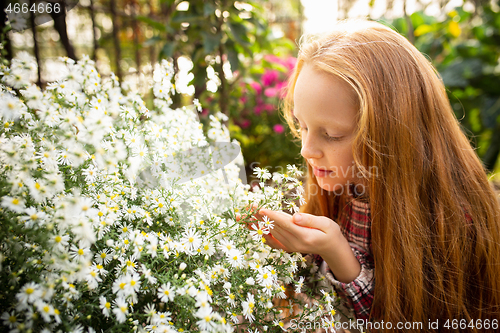 Image of Happy little girl with flowers in a garden outdoors