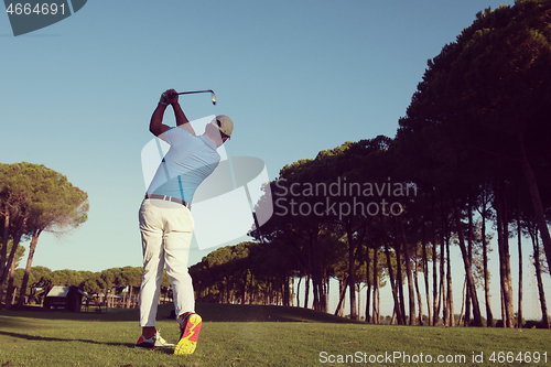 Image of golf player