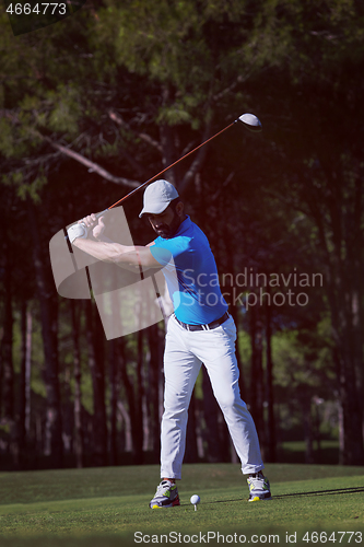 Image of golf player hitting shot