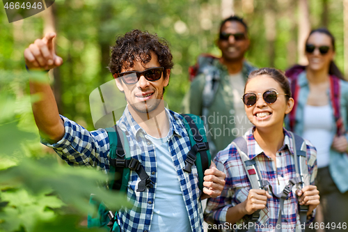 Image of group of friends with backpacks hiking in forest