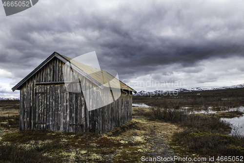 Image of Dovrefjell, Norway