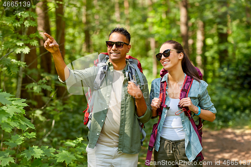 Image of mixed race couple with backpacks hiking in forest