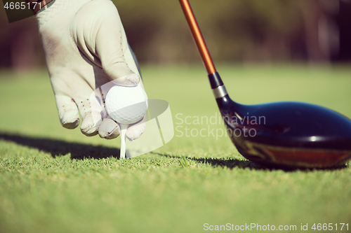 Image of golf player placing ball on tee