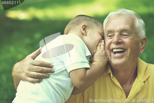 Image of happy grandfather and child in park