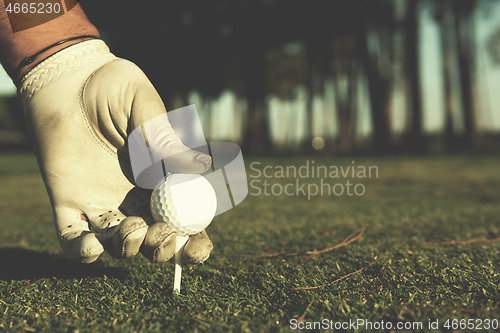 Image of close up of golf players hand placing ball on tee