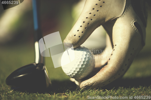 Image of golf player placing ball on tee